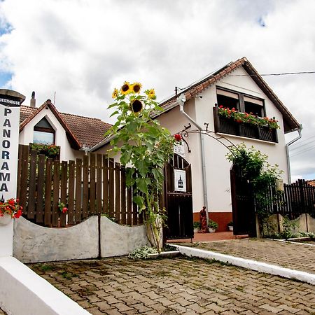 Panorama Guesthouse Sighisoara Exterior photo